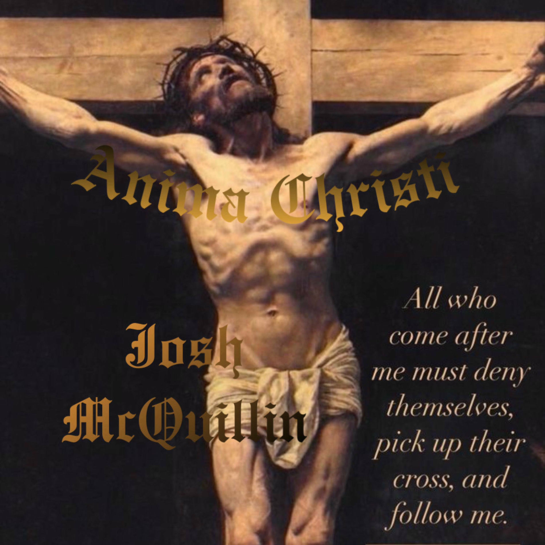 Album cover of Anima Christi (feat. Marco Frisina)