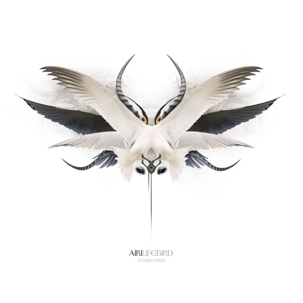 Picture of Lifebird