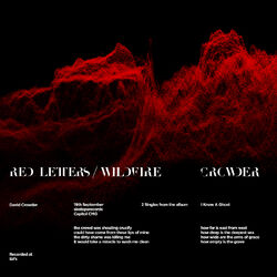 Cover of Red Letters / Wildfire