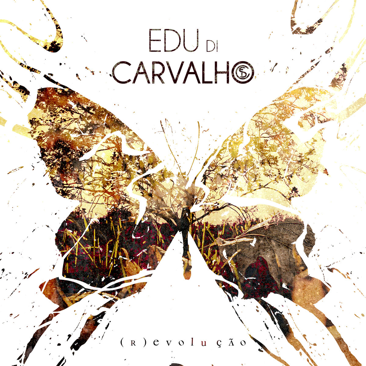 Album cover of (R) Evolução