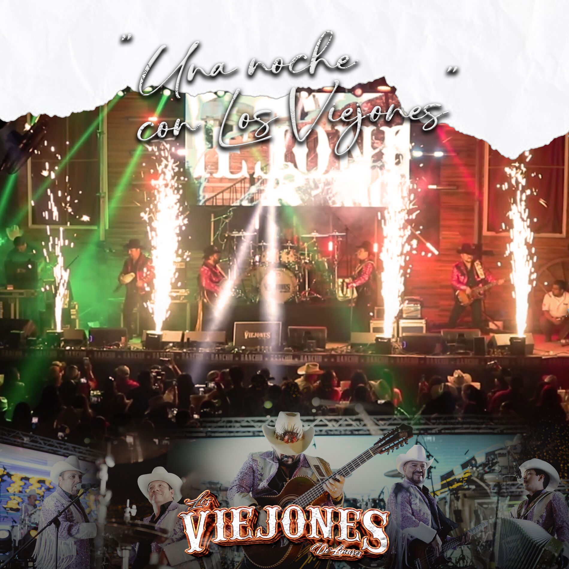 Album cover of Una Noche Con los Viejones