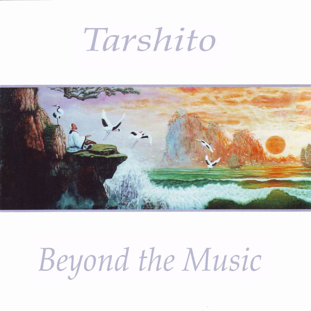 Picture of Beyond the Music