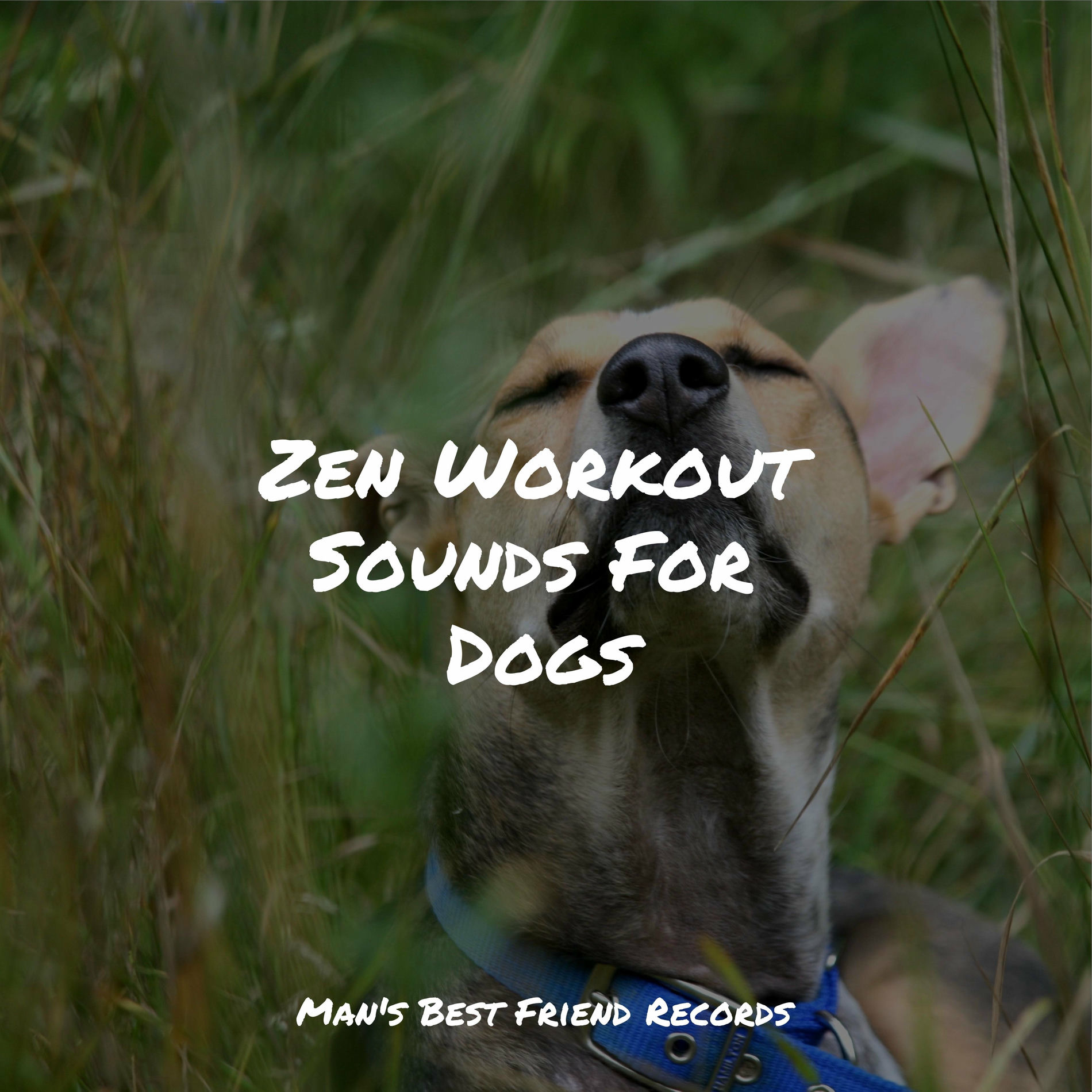 Album cover of Zen Workout Sounds For Dogs