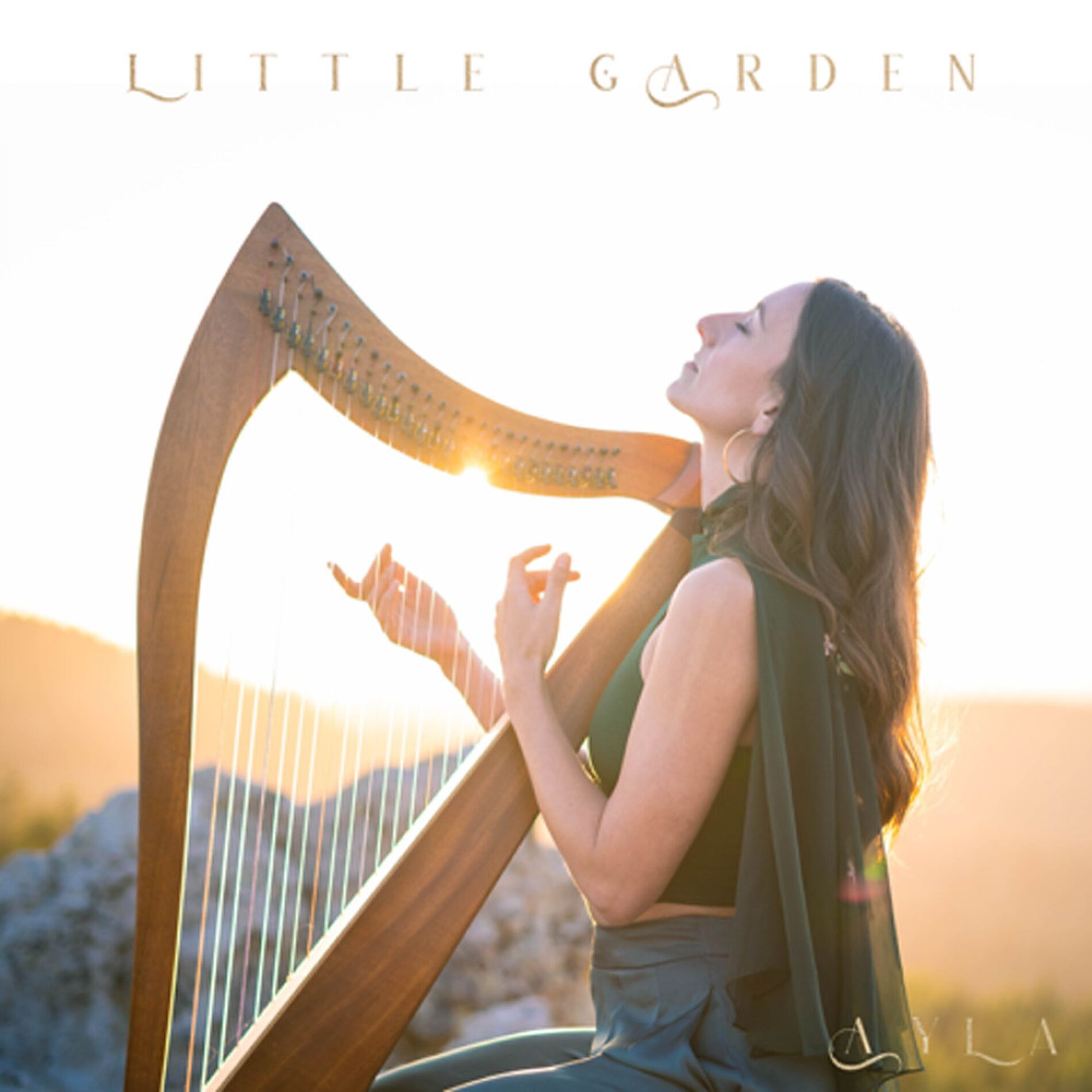 Album cover of Little Garden