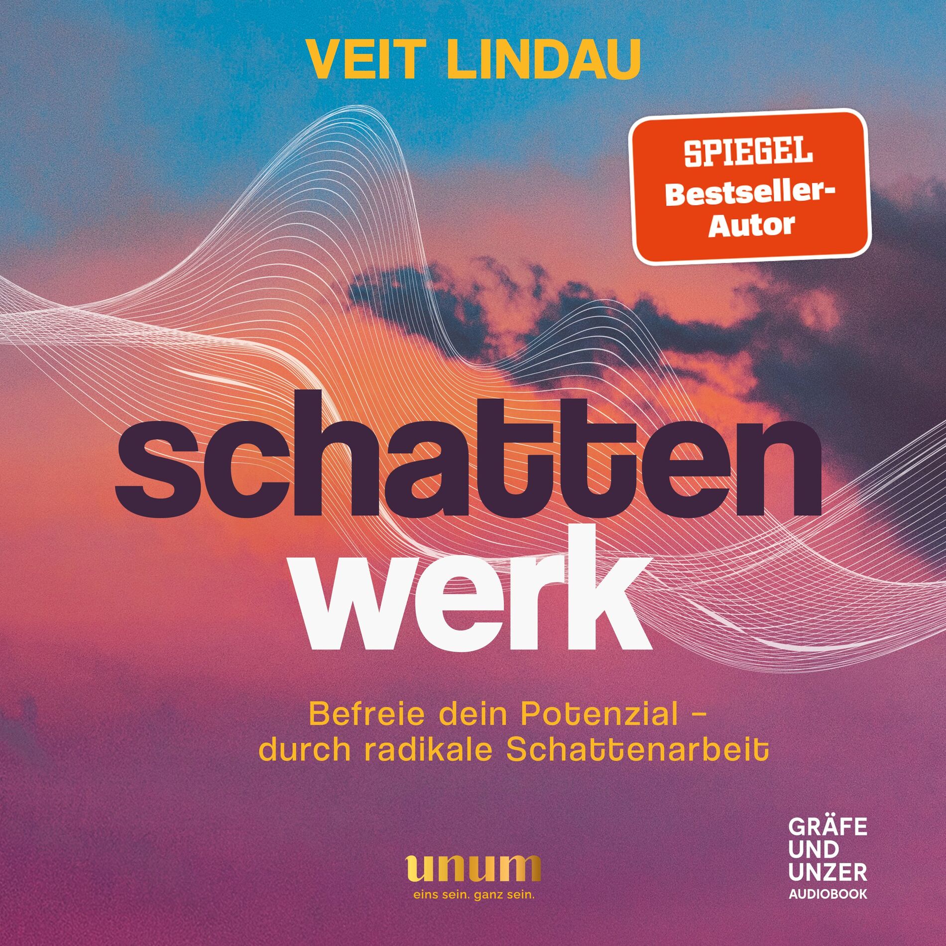 Album picture of Schattenwerk (Befreie dein verborgenes Potenzial – durch radikale Schattenarbeit)