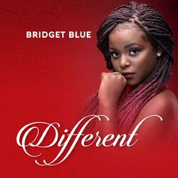 Cover of Different