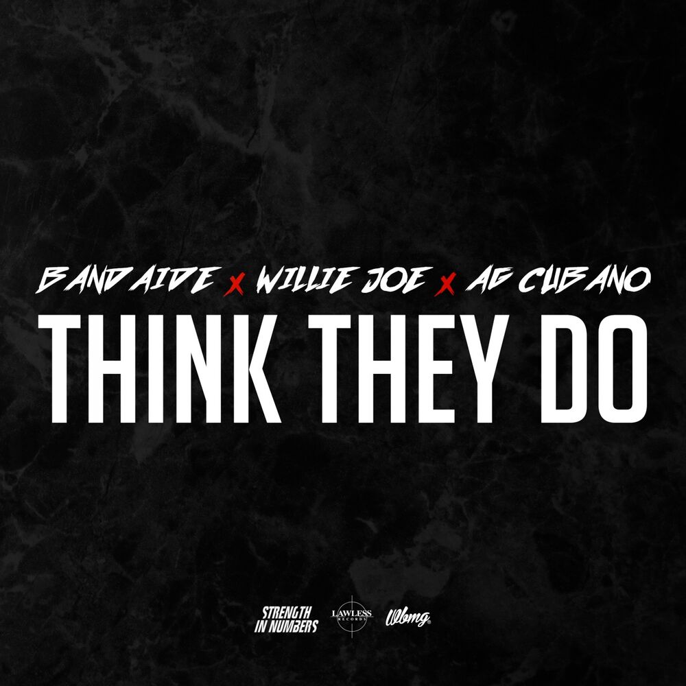 Picture of Think They Do