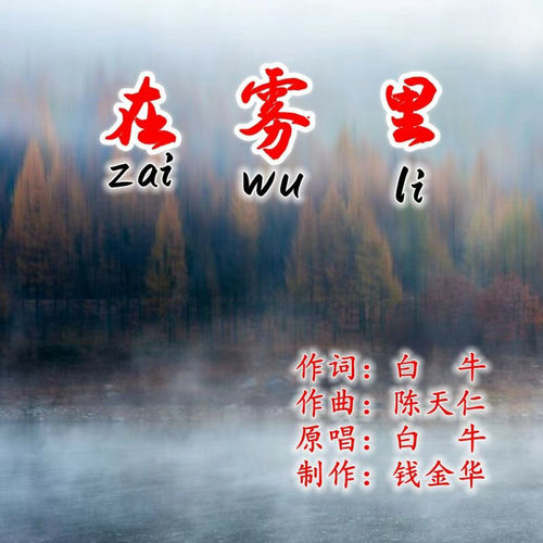 在雾里