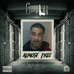 Cover of Almost Free