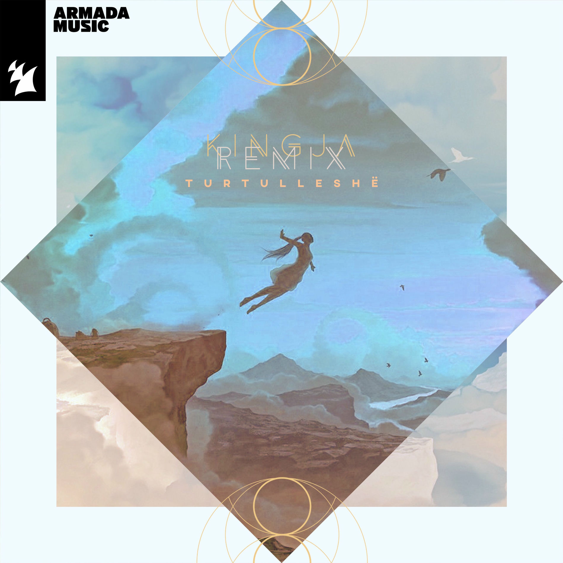 Album cover of Turtulleshë (Kingja Remix)