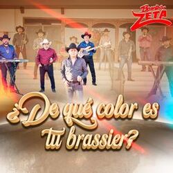 Cover of ¿De Qué Color Es Tu Brassiere?
