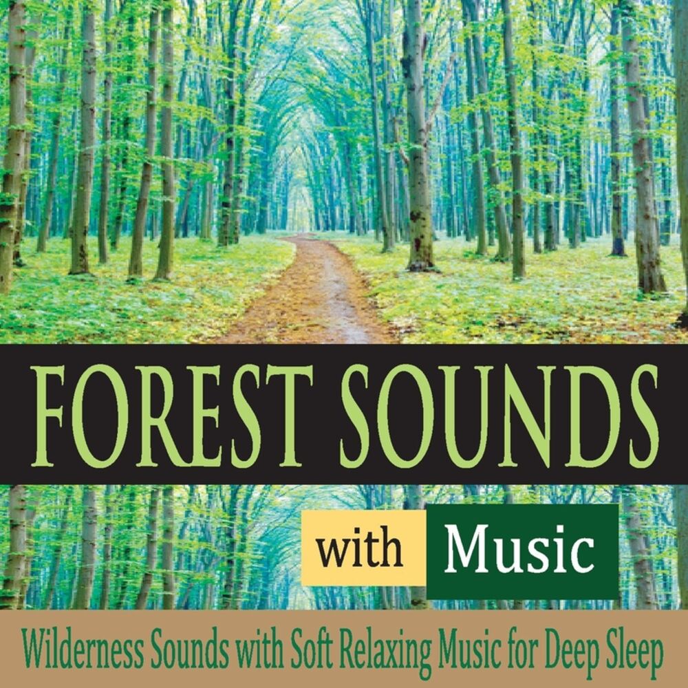 Picture of Forest Sounds With Music: Wilderness Sounds With Soft Relaxing Music for Deep Sleep