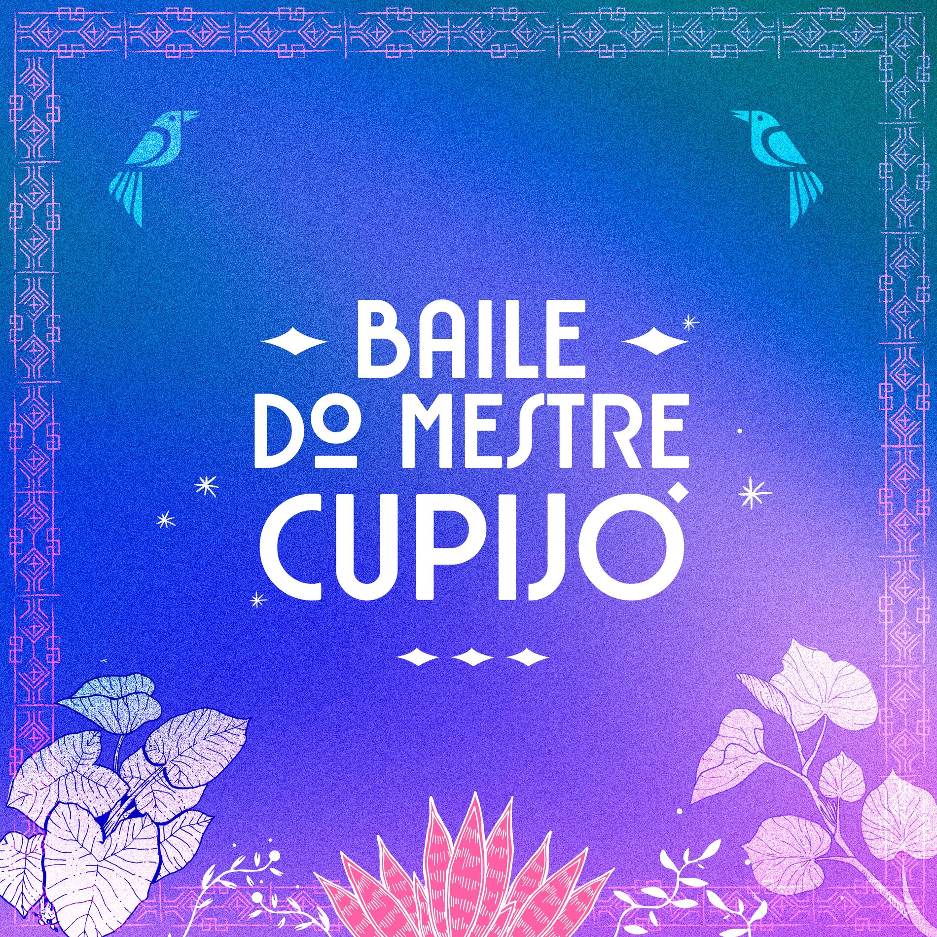 Album cover of Baile do Mestre Cupijó