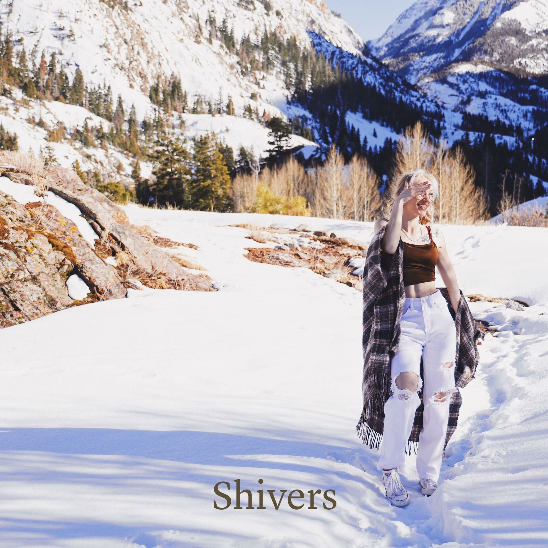 Album cover of Shivers