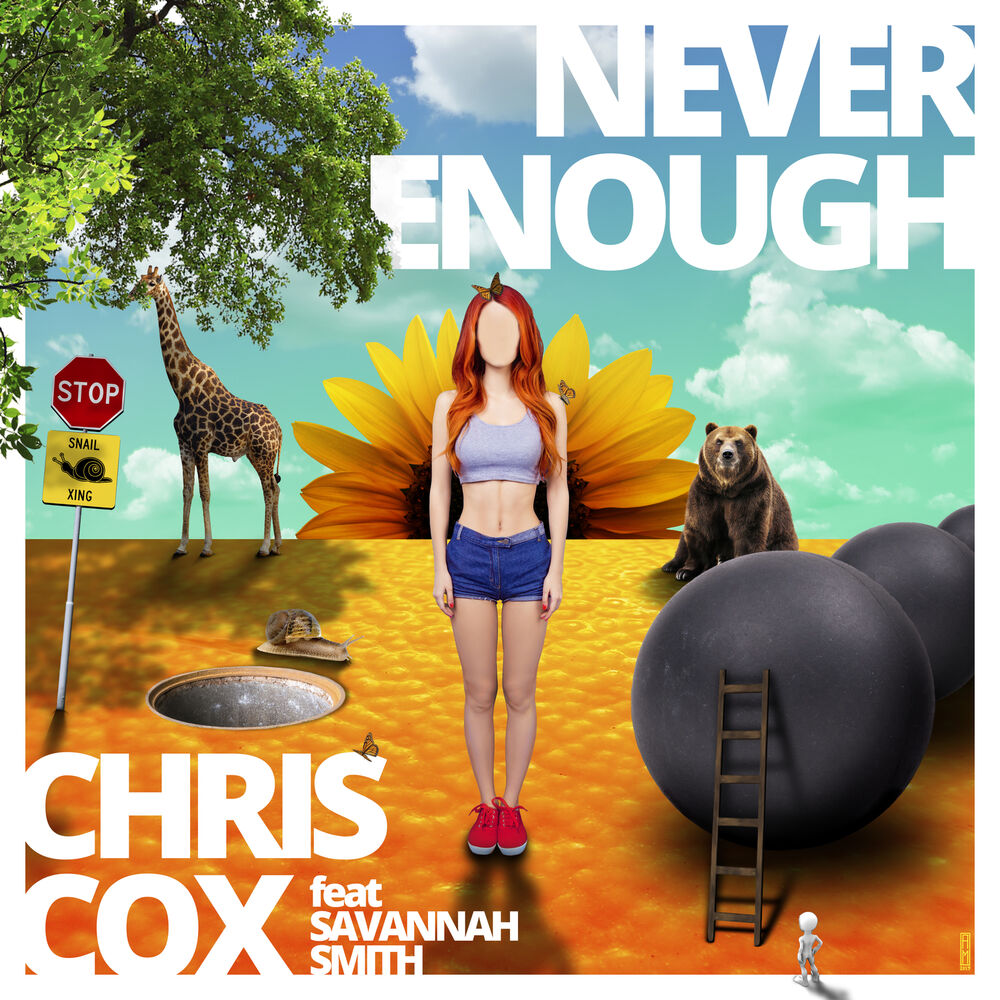 Picture of Never Enough