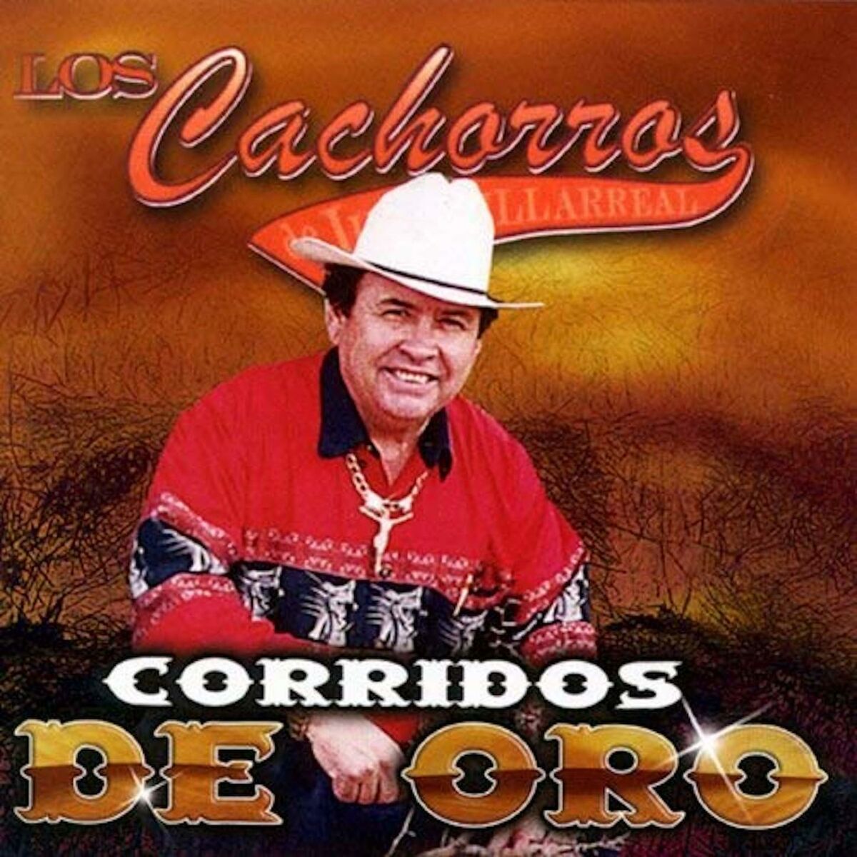 Album cover of El Rayo De Sinaloa