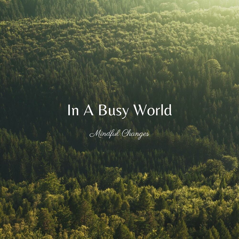 Picture of In a Busy World