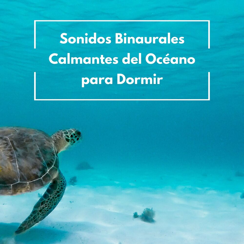 Picture of Sonidos Binaurales Calmantes Del Océano Para Dormir