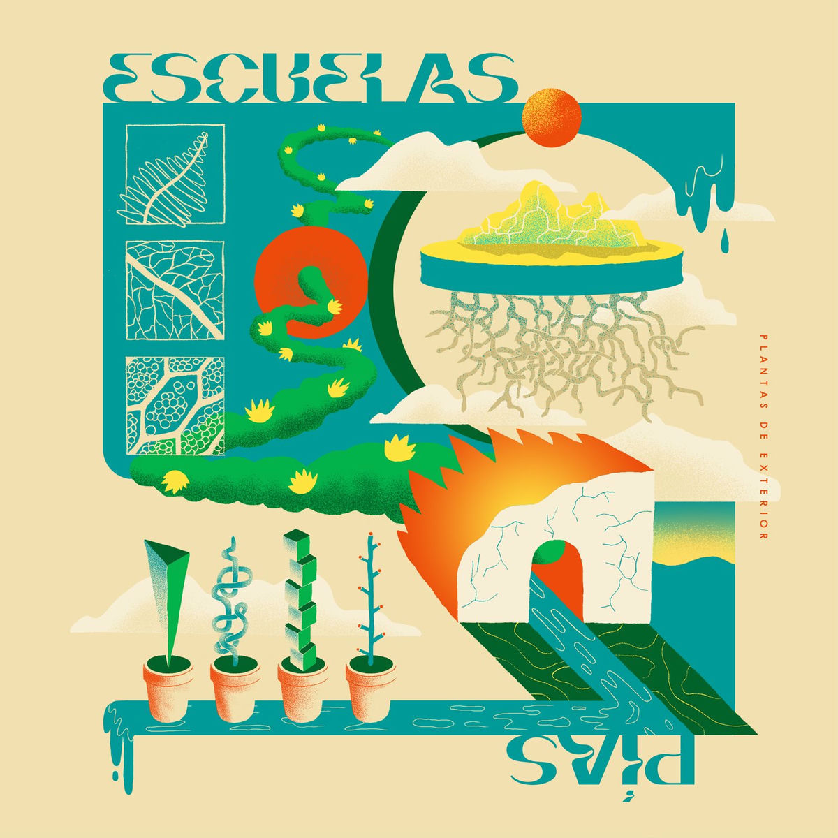 Album cover of Plantas de Exterior
