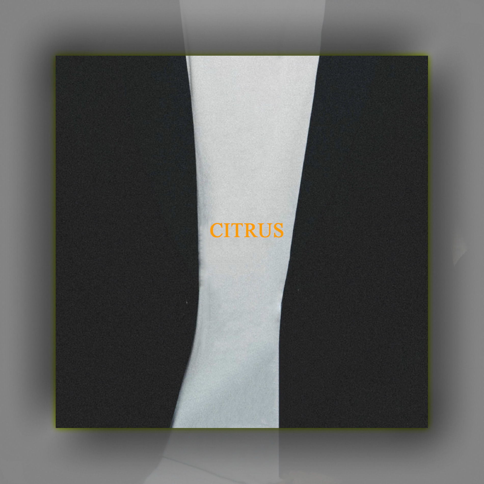 Album cover of CITRUS