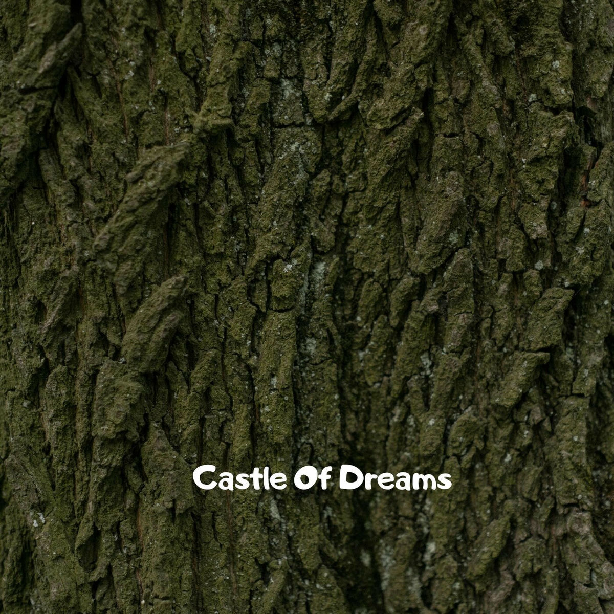 Album cover of Castle Of Dreams