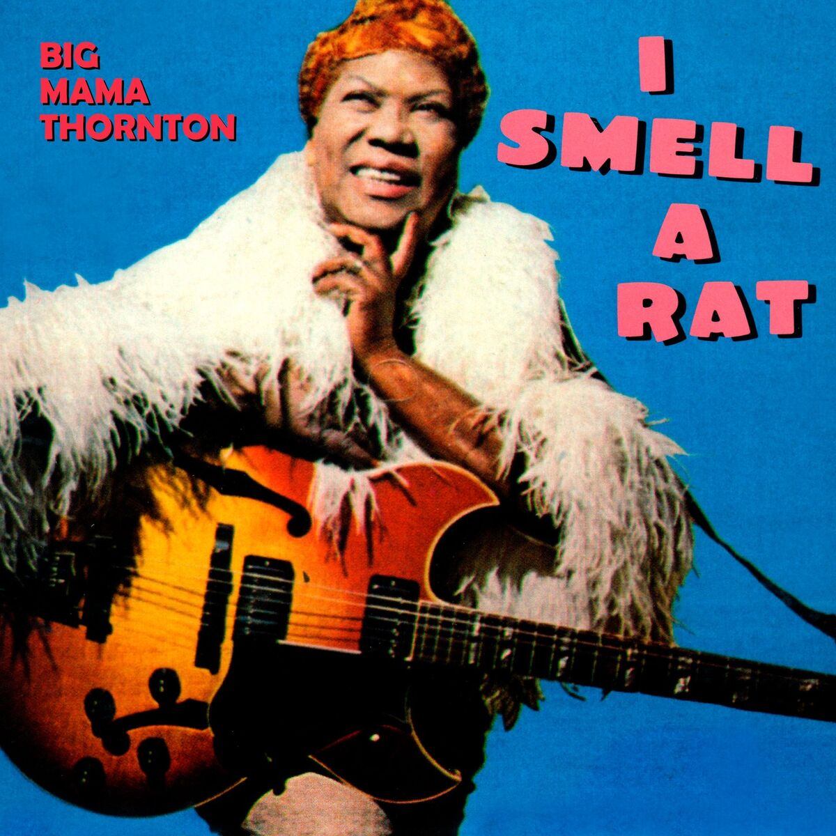 Album cover of I Smell a Rat