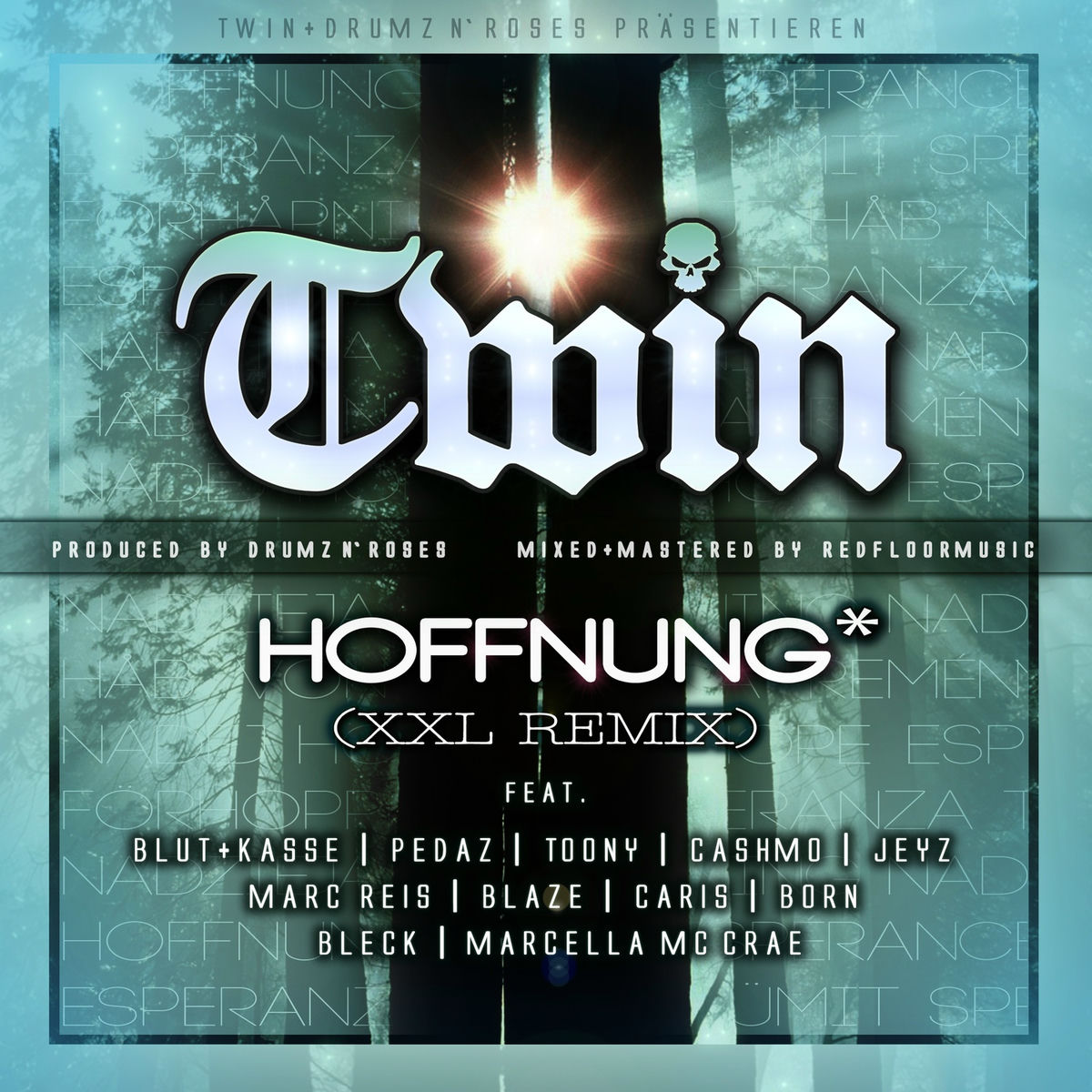 Album cover of Hoffnung (feat. Blut&Kasse, Toony, Cashmo, Jeyz, Marc Reis, Blaze, Born, Bleck, Caris & Marcella McCrae)