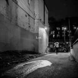 Cover of Lost