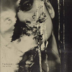 Cover of The Witch