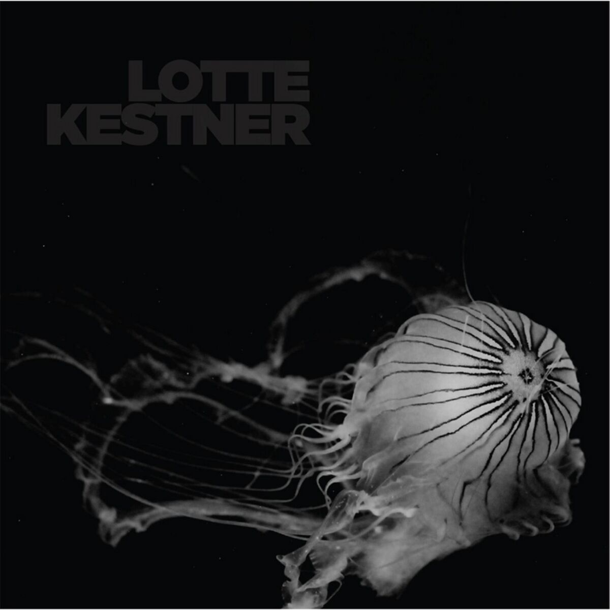 Album cover of Bell Under Water
