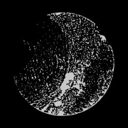 Cover of Phantom