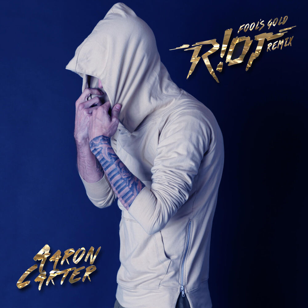 Picture of Fool's Gold (R!OT Remix)
