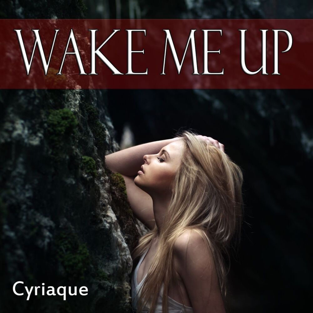 Picture of Wake Me Up