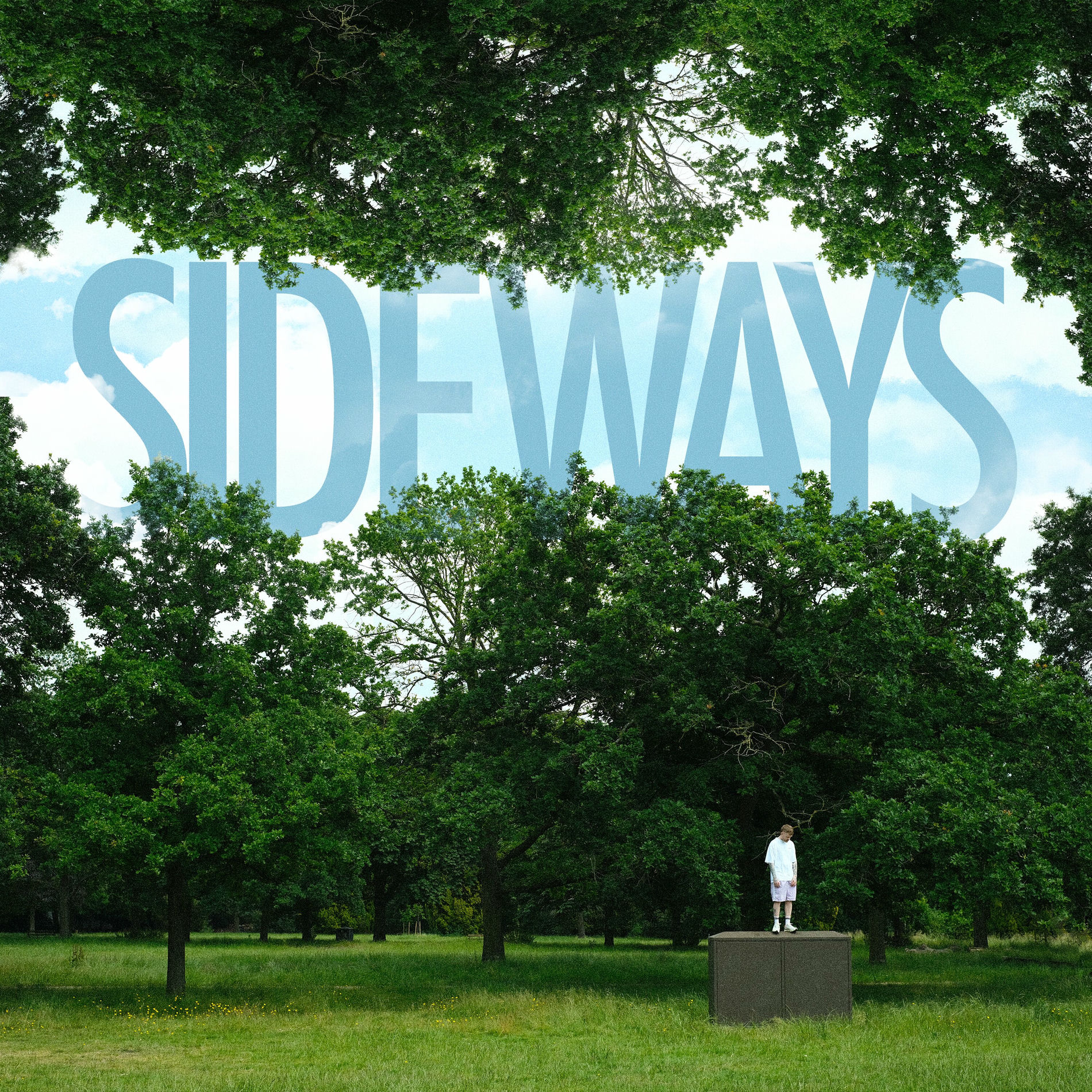 Album cover of Sideways