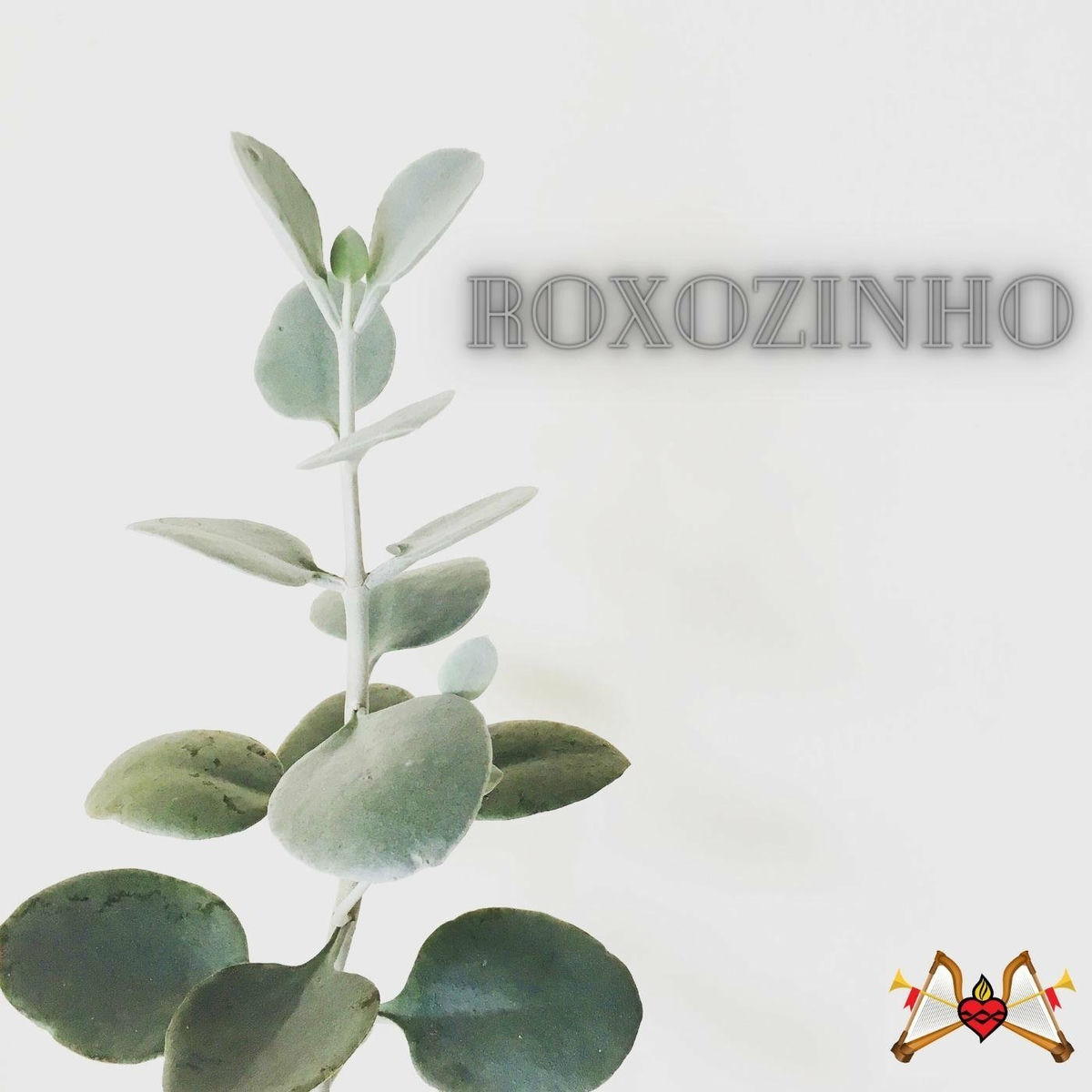 Album cover of Roxozinho