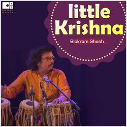 Cover of Little Krishna