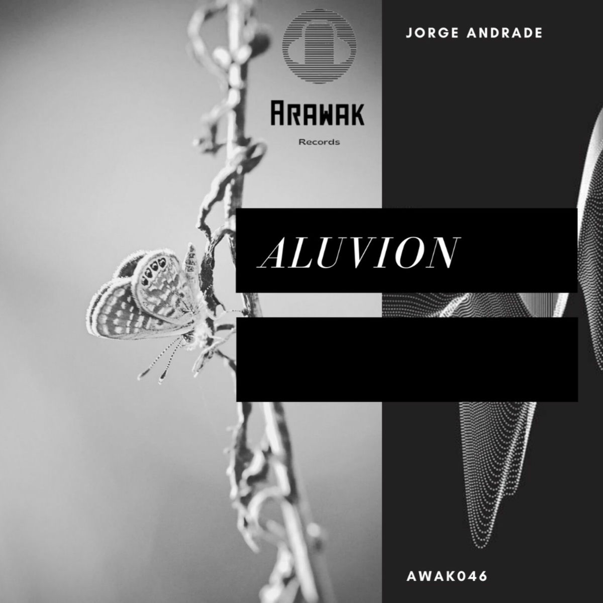 Album cover of Aluvion
