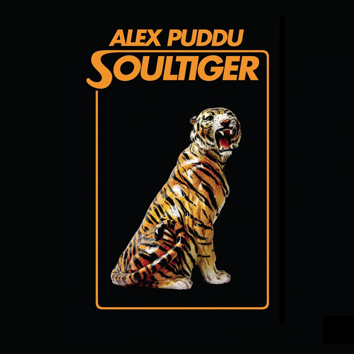Album cover of Soultiger