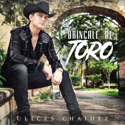 Cover of Brincale al Toro