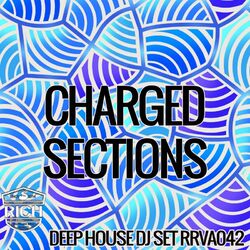 Cover of CHARGED SECTIONS