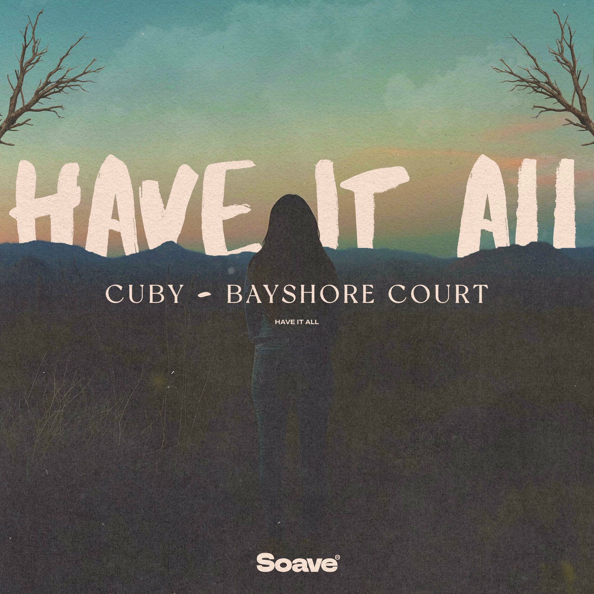 Album cover of Have It All