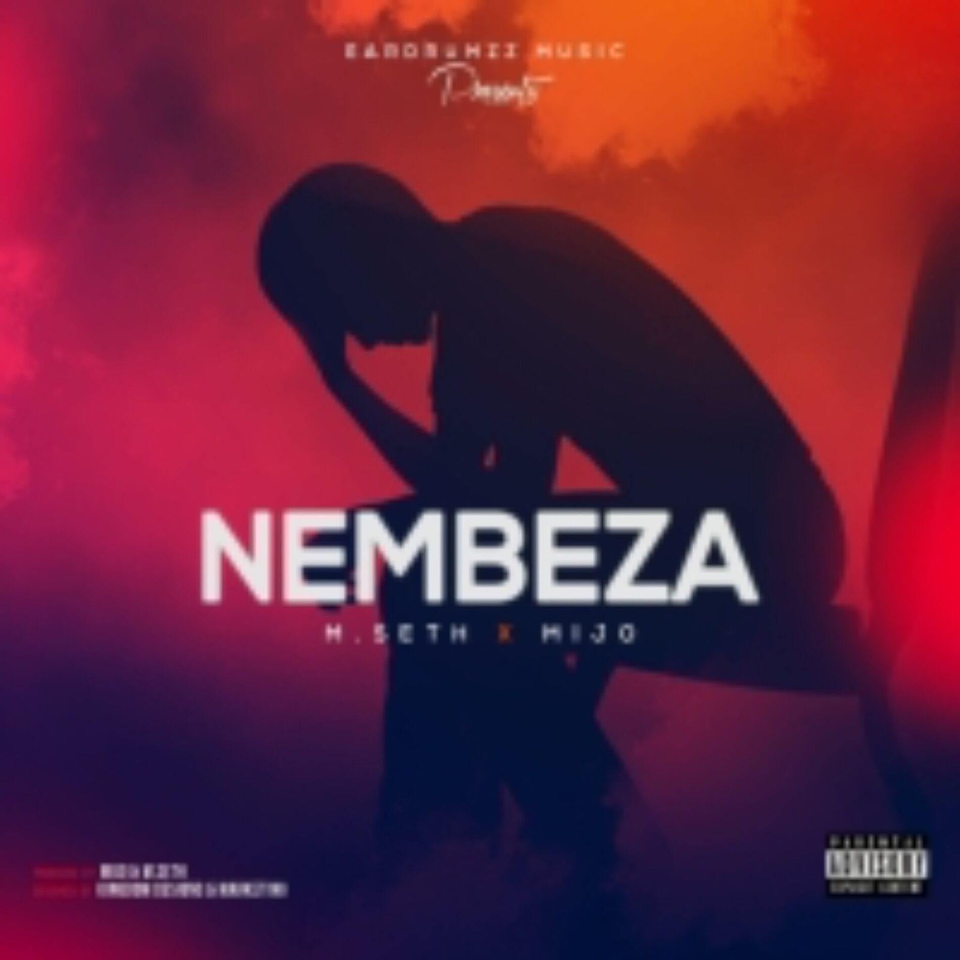 Album cover of Nembeza
