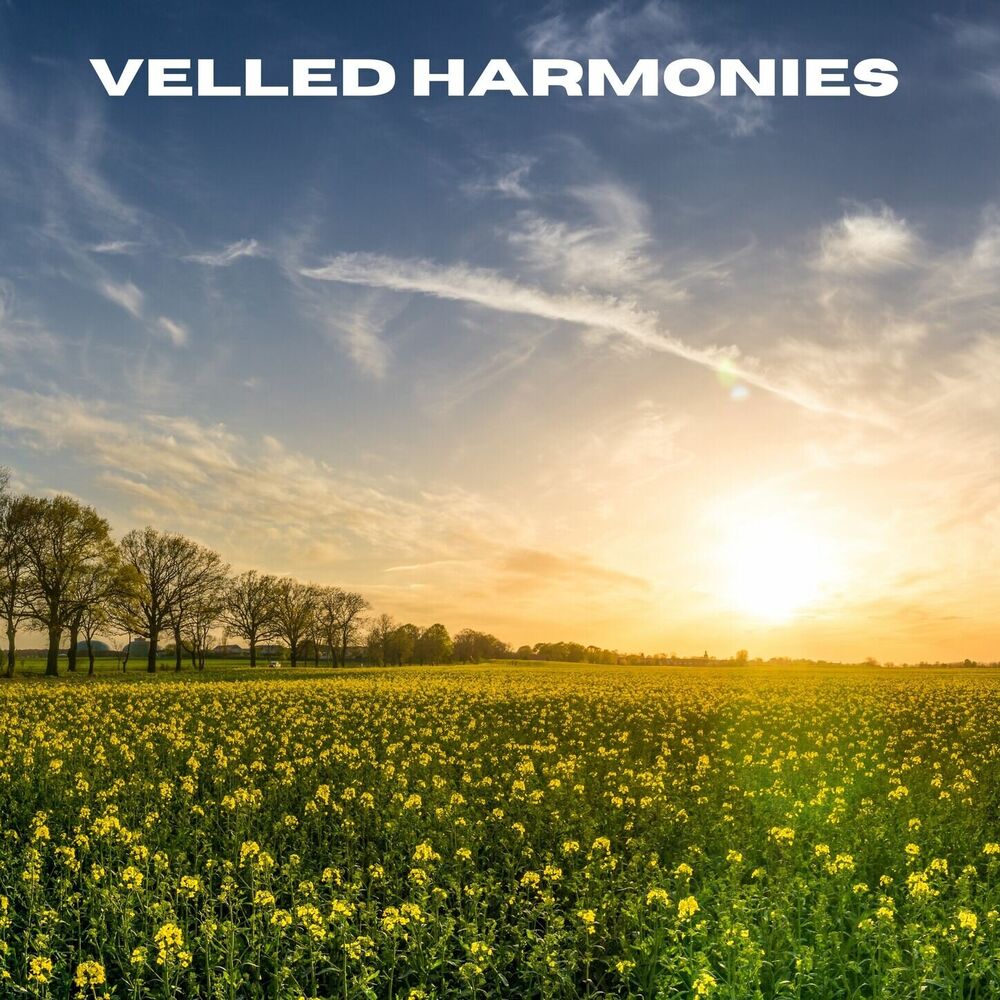 Picture of Veiled Harmonies