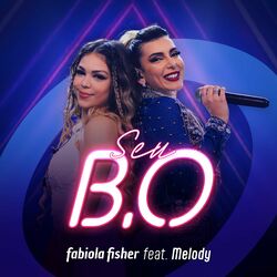 Cover of Seu B.O.