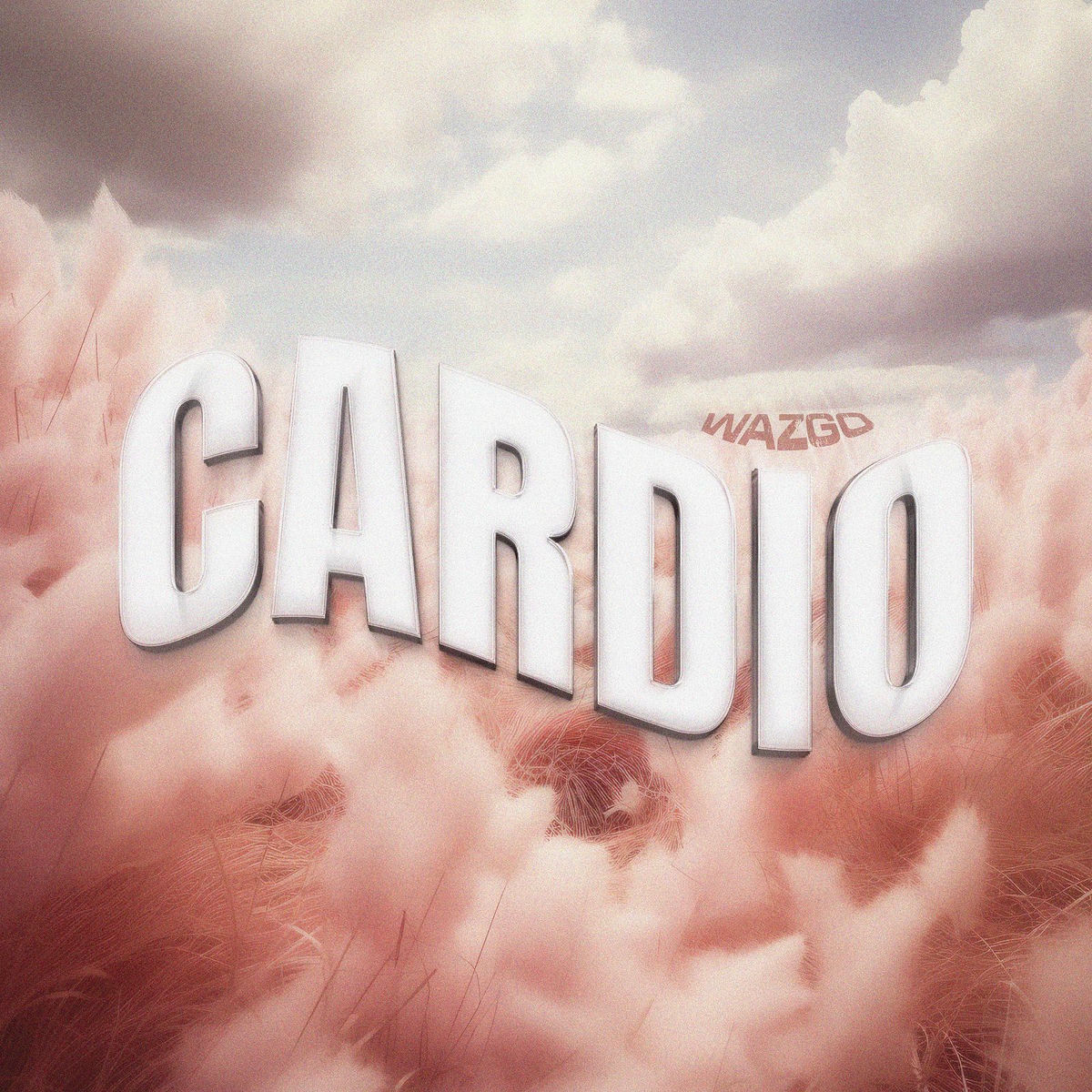 Album cover of CARDIO