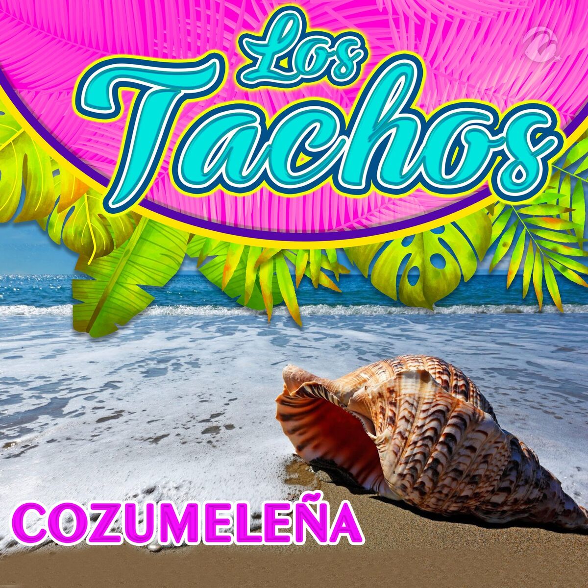 Album cover of Cozumeleña