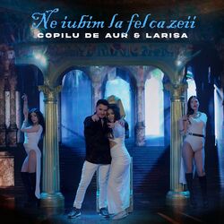 Cover of Ne Iubim La Fel Ca Zeii