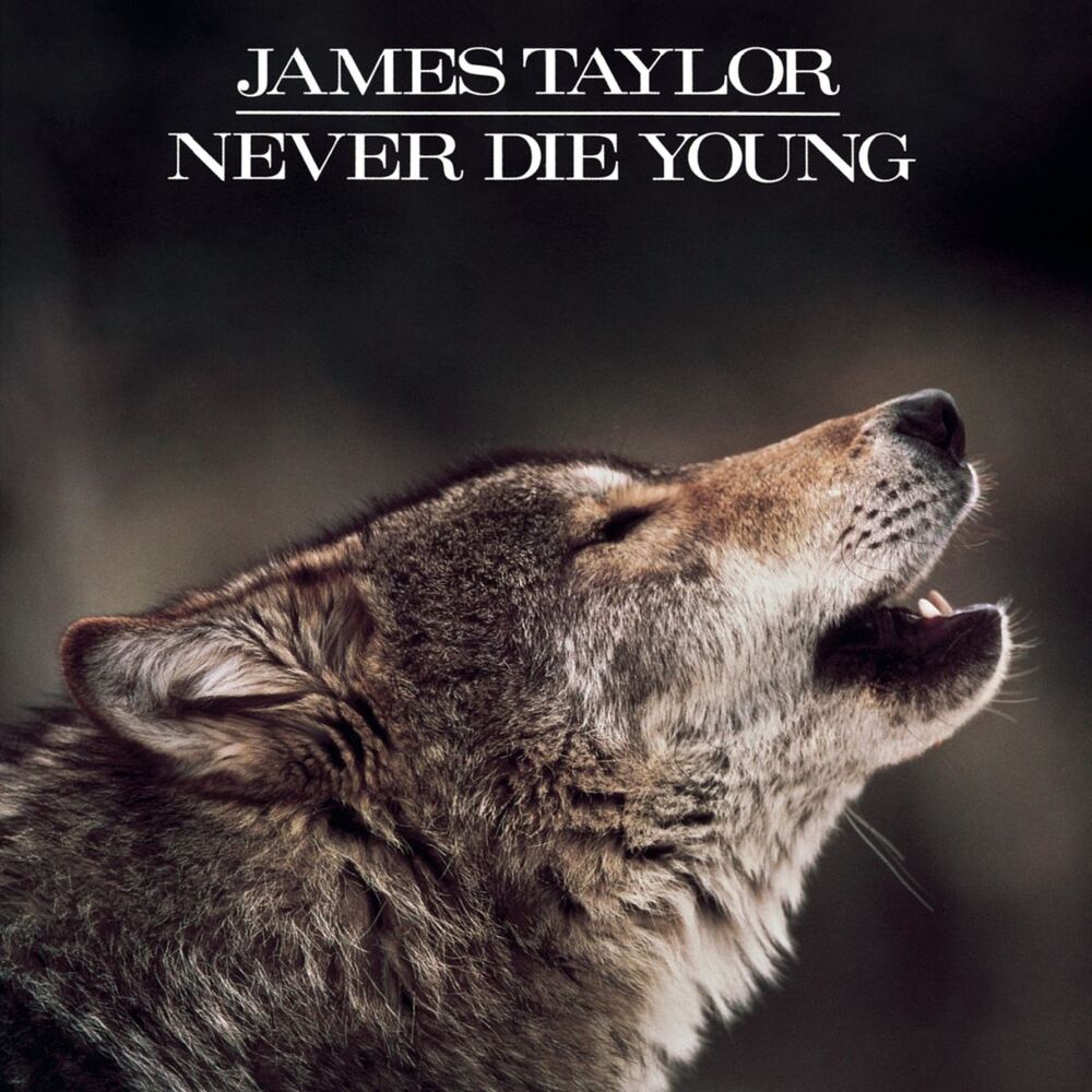 Picture of Never Die Young