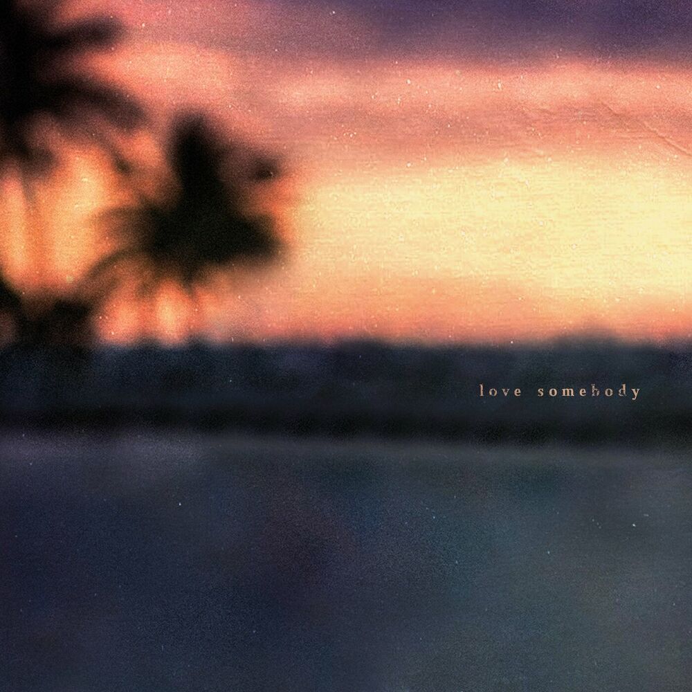 Picture of Love Somebody