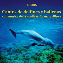 Cover of Cantos de Delfines y Ballenas Con Música de la Meditación Maravillosa